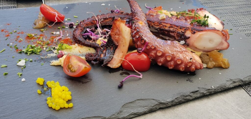 Pulpo ROKA
