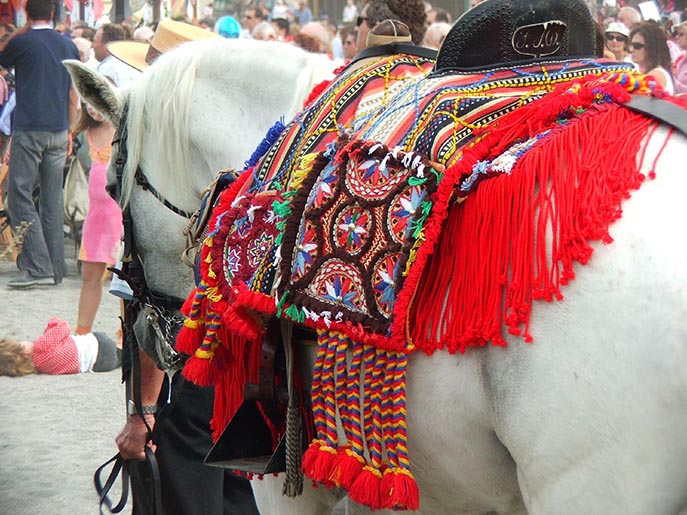 Romeria Virgen Rosario