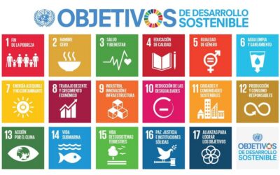 Sustainable Development Goals_E_Final sizes 09 09 S SDG Poster