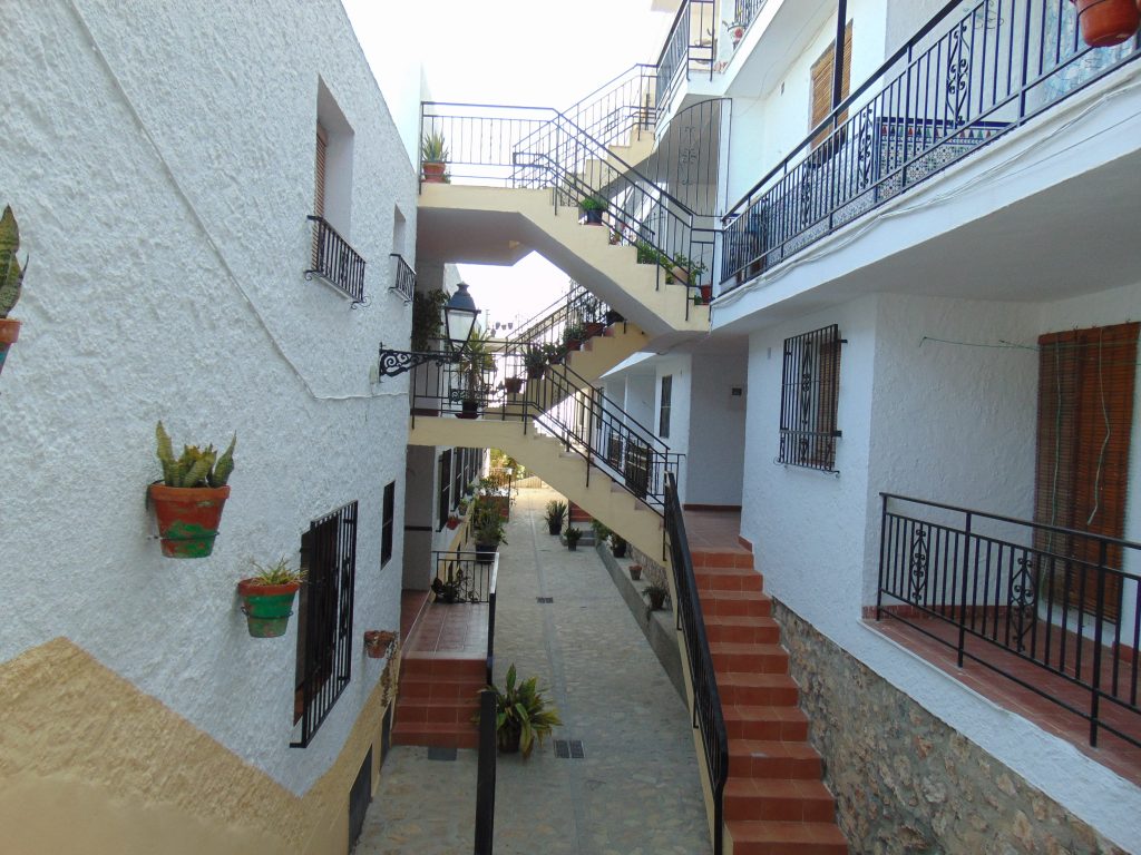 DSC00529
