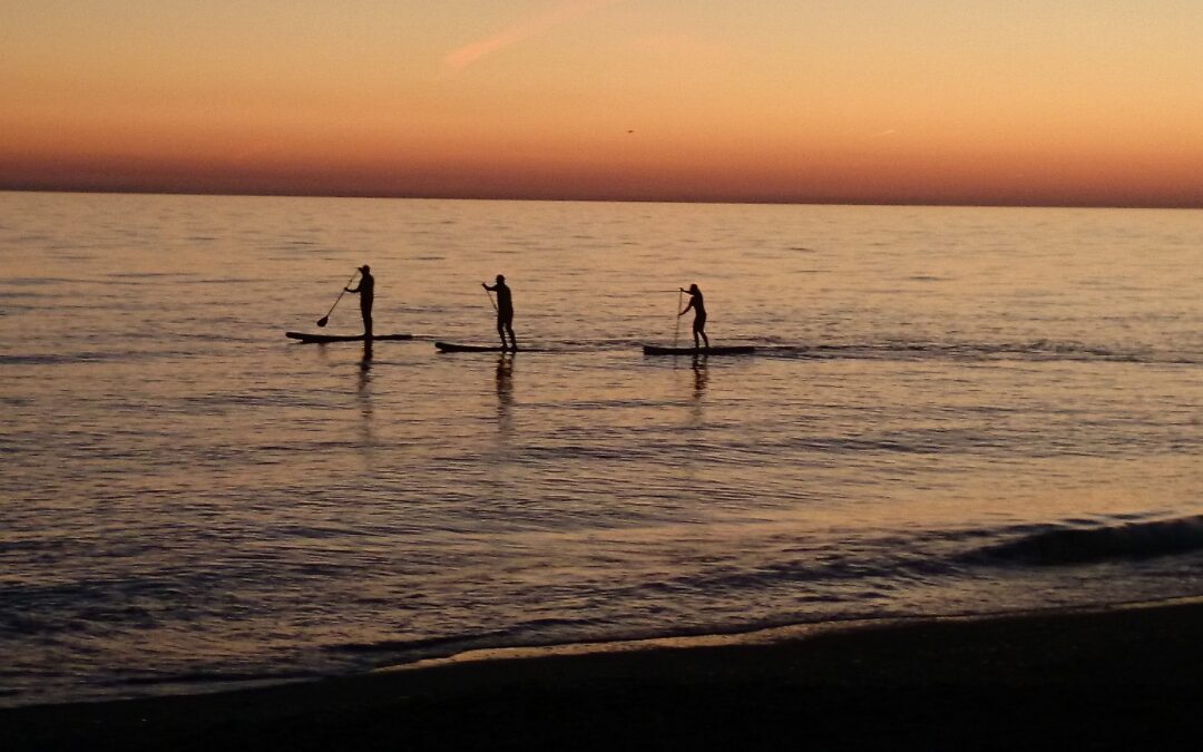 Directos al trópico: Costa de Granada