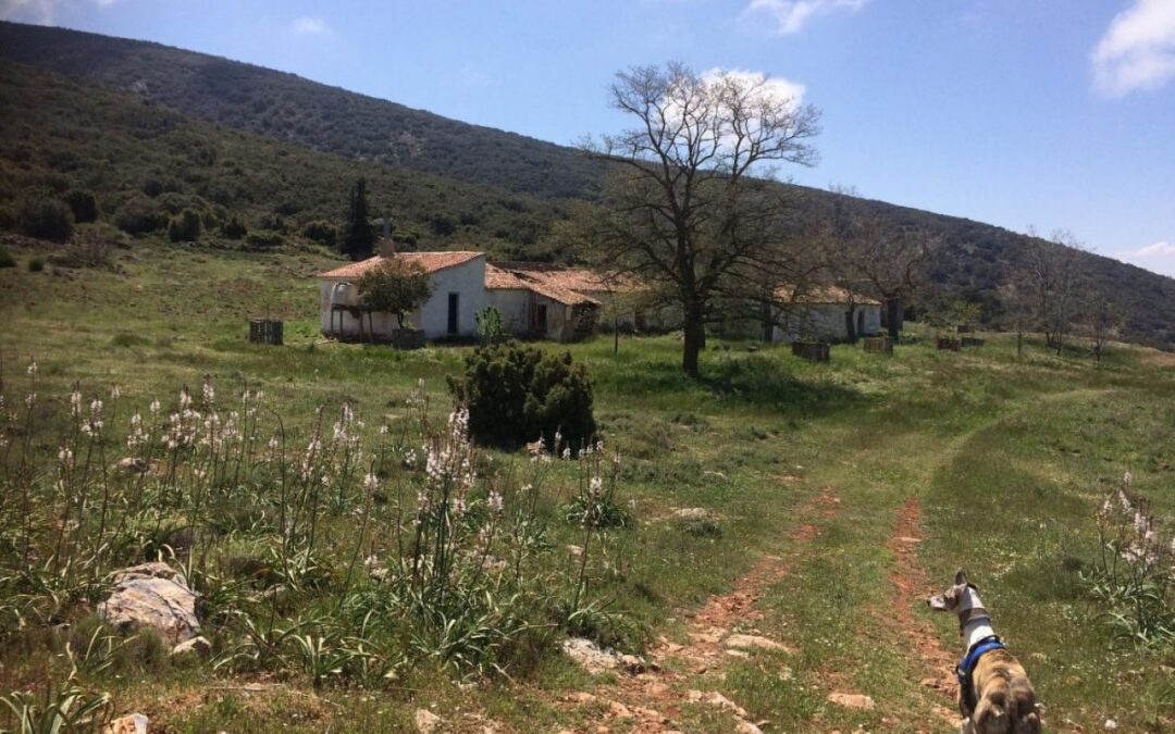 Senderismo en Salobreña y  la Costa Tropical