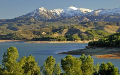Embalse Bermejales