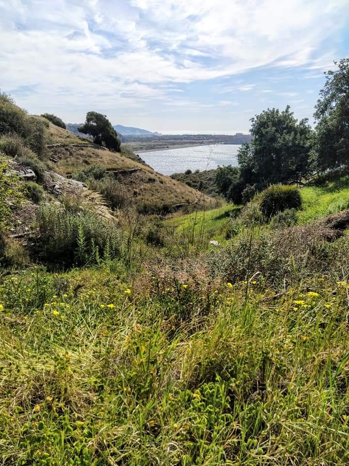 Sendero Monte