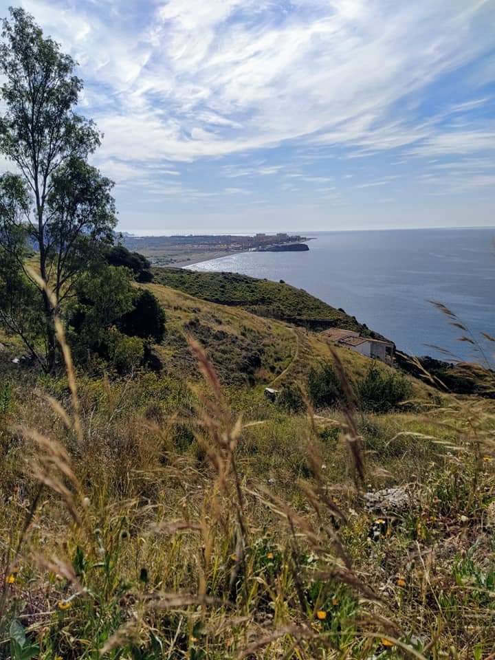 Vista Desde Monte