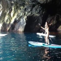 3D3E8FDA41815029FFD52C4F1C7D4B0C9539C61A