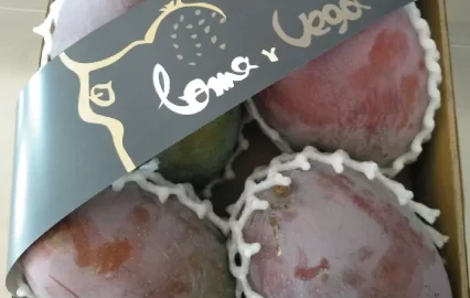 Caja De Mango Osteen Lomayvega 1