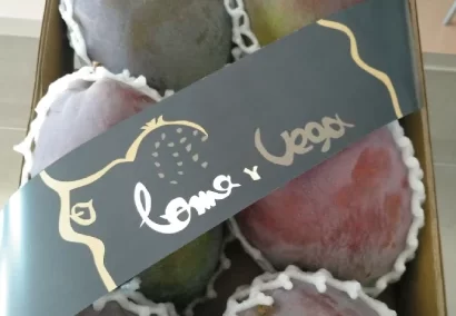 Frutas tropicales de temporada recien cogidas del arbol producidas en salobreña