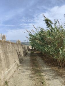 Caminodelcementerio